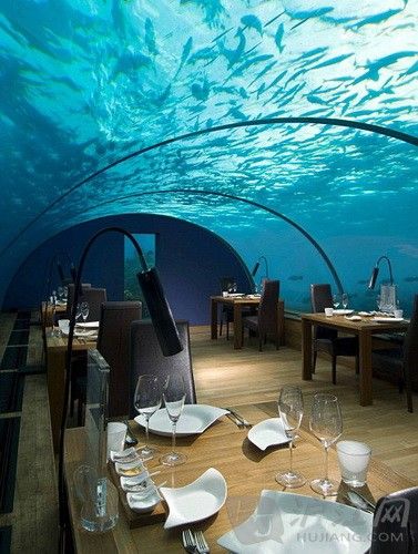 全球最美餐厅：马尔代夫梦幻海底餐厅